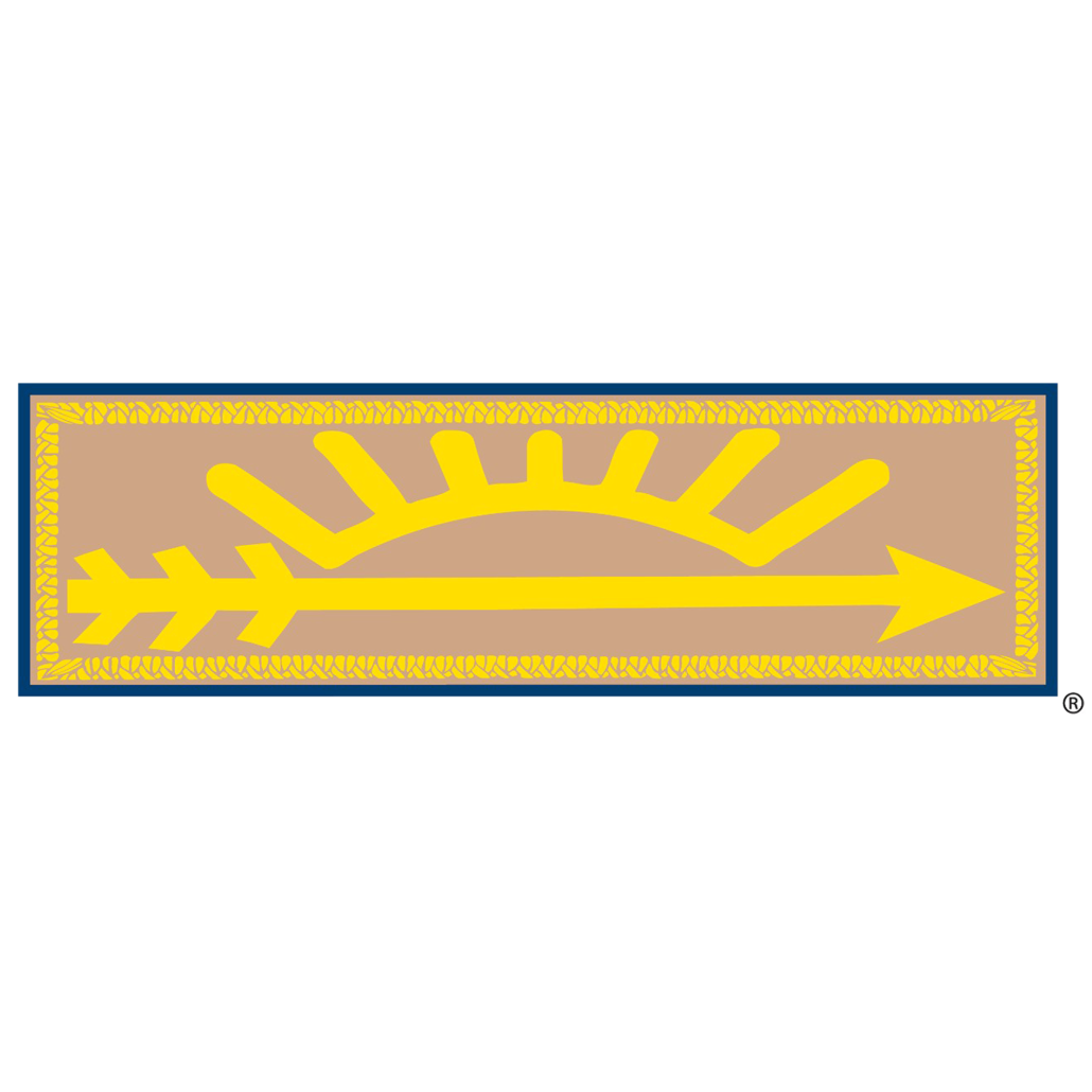 Arrow of light cub scout pack 3171